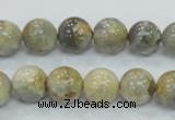 CMS122 15.5 inches 12mm round moonstone gemstone beads wholesale