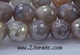 CMS1313 15.5 inches 10mm faceted round AB-color grey moonstone beads