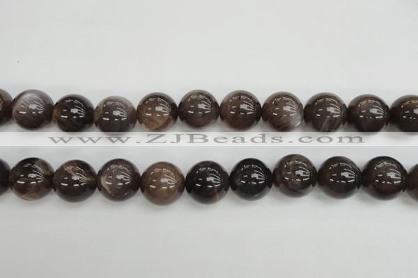 CMS147 15.5 inches 14mm round natural grey moonstone beads