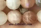 CMS1472 15.5 inches 10mm faceted round moonstone beads wholesale