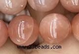 CMS1478 15.5 inches 12mm round moonstone beads wholesale