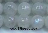 CMS1491 15.5 inches 8mm round white moonstone beads wholesale