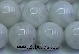 CMS1493 15.5 inches 12mm round white moonstone beads wholesale