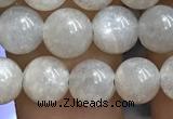 CMS1651 15.5 inches 6mm round grey moonstone beads wholesale