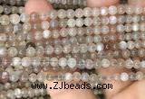 CMS1684 15.5 inches 4mm round rainbow moonstone beads wholesale