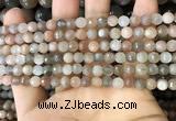 CMS1691 15.5 inches 4mm faceted round rainbow moonstone beads