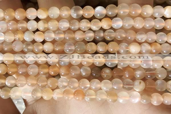 CMS1711 15.5 inches 5mm round rainbow moonstone beads wholesale