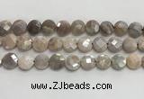 CMS1790 15.5 inches 12mm faceted coin AB-color moonstone beads