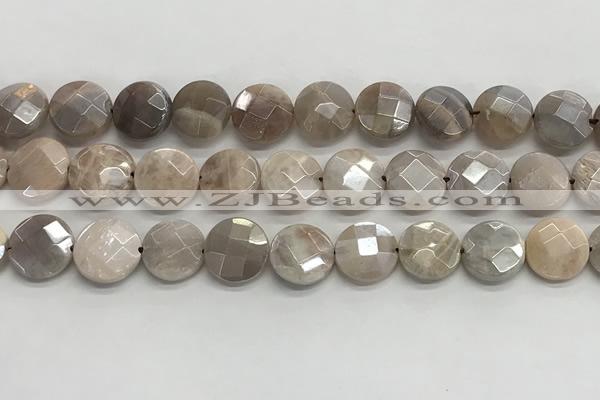 CMS1790 15.5 inches 12mm faceted coin AB-color moonstone beads