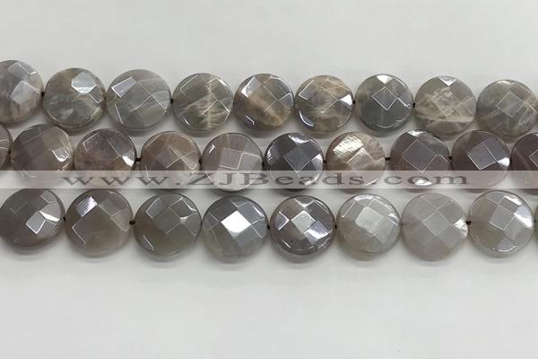 CMS1792 15.5 inches 16mm faceted coin AB-color moonstone beads