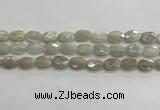 CMS1806 15.5 inches 8*12mm faceted oval AB-color moonstone beads