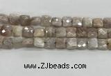 CMS1828 15.5 inches 12*12mm faceted square AB-color moonstone beads