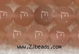 CMS1896 15.5 inches 8mm round moonstone gemstone beads