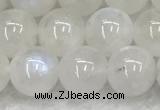 CMS1903 15.5 inches 10mm round white moonstone gemstone beads