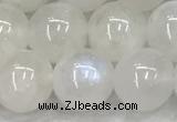 CMS1904 15.5 inches 12mm round white moonstone gemstone beads