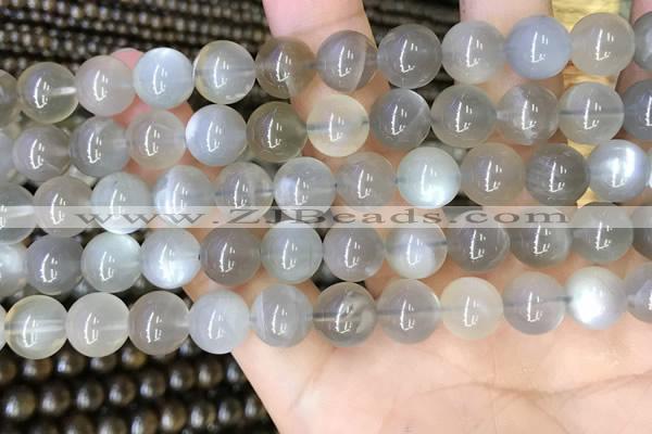 CMS1943 15.5 inches 10mm round grey moonstone beads wholesale