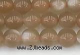 CMS1956 15.5 inches 5mm round natural moonstone gemstone beads