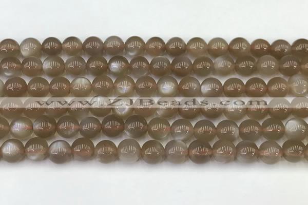 CMS1958 15.5 inches 7mm round natural moonstone gemstone beads