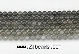 CMS2021 15.5 inches 8mm round black moonstone beads wholesale