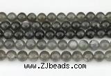 CMS2022 15.5 inches 10mm round black moonstone beads wholesale