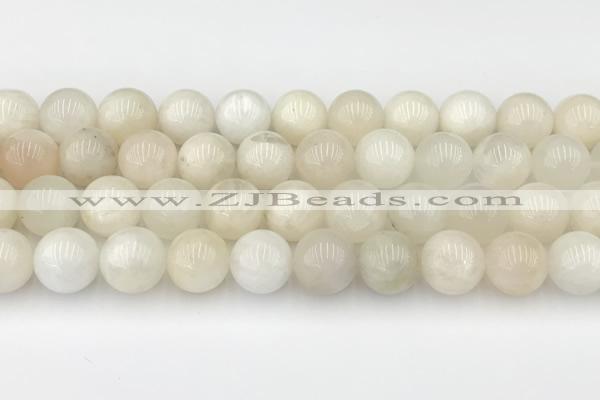 CMS2029 15.5 inches 10mm round white moonstone beads wholesale