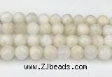 CMS2030 15.5 inches 12mm round white moonstone beads wholesale