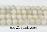 CMS2030 15.5 inches 12mm round white moonstone beads wholesale