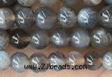 CMS2058 15.5 inches 4mm round moonstone gemstone beads