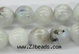 CMS207 15.5 inches 14mm round moonstone gemstone beads wholesale