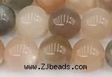 CMS2071 15 inches 8mm round moonstone gemstone beads