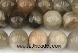 CMS2087 15 inches 8mm round moonstone gemstone beads