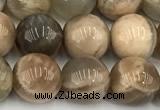 CMS2088 15 inches 10mm round moonstone gemstone beads