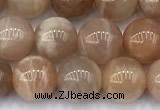 CMS2111 15 inches 8mm round moonstone beads