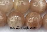 CMS2113 15 inches 10mm round moonstone beads