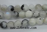CMS216 15.5 inches 8mm round white moonstone gemstone beads