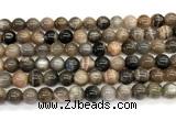 CMS2288 15 inches 8mm round grey moonstone beads wholesale