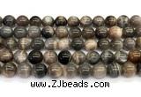 CMS2289 15 inches 10mm round grey moonstone beads wholesale