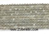 CMS2293 15 inches 4mm round grey moonstone beads wholesale