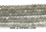 CMS2294 15 inches 6mm round grey moonstone beads wholesale