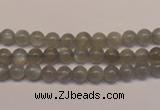 CMS300 15.5 inches 5mm round natural grey moonstone beads wholesale