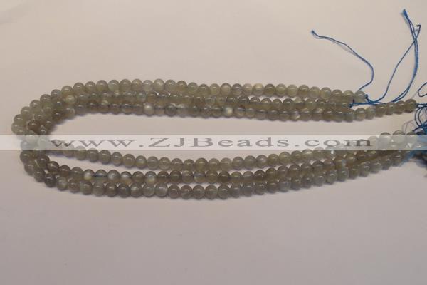 CMS300 15.5 inches 5mm round natural grey moonstone beads wholesale