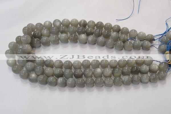 CMS303 15.5 inches 8mm round natural grey moonstone beads wholesale