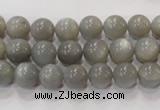 CMS304 15.5 inches 9mm round natural grey moonstone beads wholesale