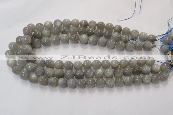 CMS304 15.5 inches 9mm round natural grey moonstone beads wholesale