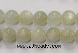 CMS312 15.5 inches 8mm round natural moonstone beads wholesale