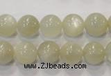 CMS313 15.5 inches 10mm round natural moonstone beads wholesale