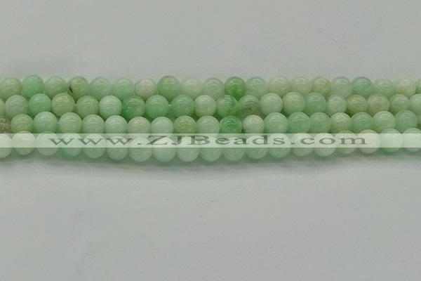 CMS411 15.5 inches 6mm round green moonstone beads wholesale