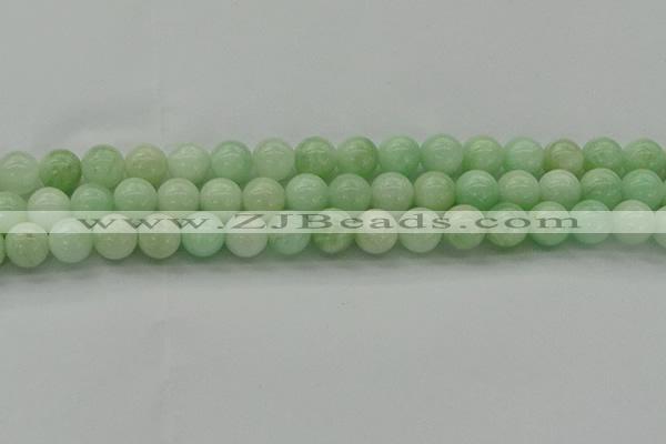 CMS412 15.5 inches 8mm round green moonstone beads wholesale