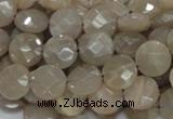 CMS44 15.5 inches 10mm faceted coin moonstone gemstone beads