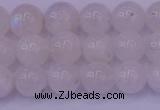 CMS642 15.5 inches 8mm round white moonstone beads wholesale